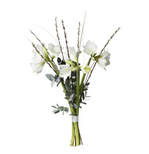 Joulukimppu - amaryllis kuva