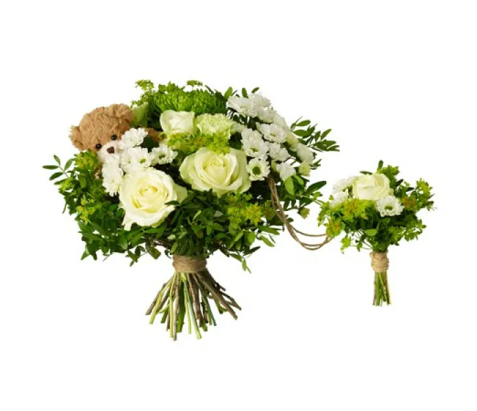 NALL9 image