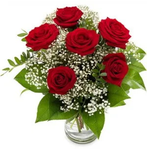 Klassiset ruusut kuva