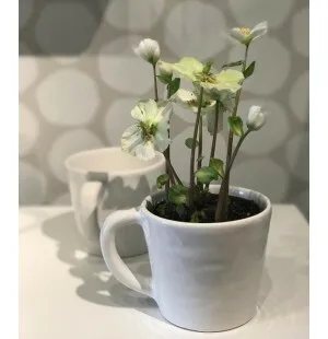 Mugg Capri grå image