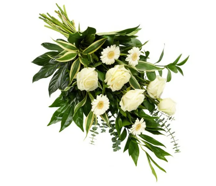 16BEG image