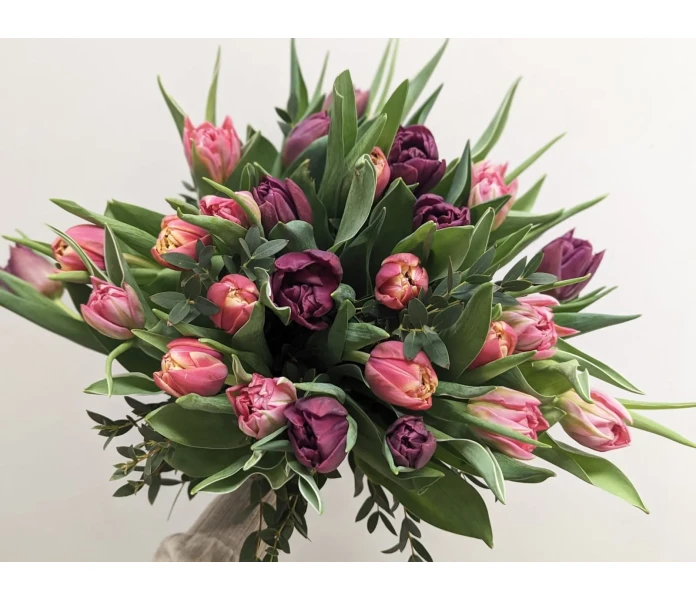 3b04177f ebe6 4b4e 9043 d5092a840500 kuva