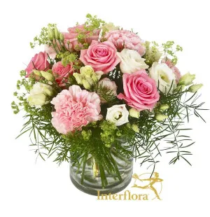 Ljusrosa dröm image