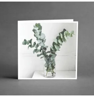 Kort "Eucalyptus" image