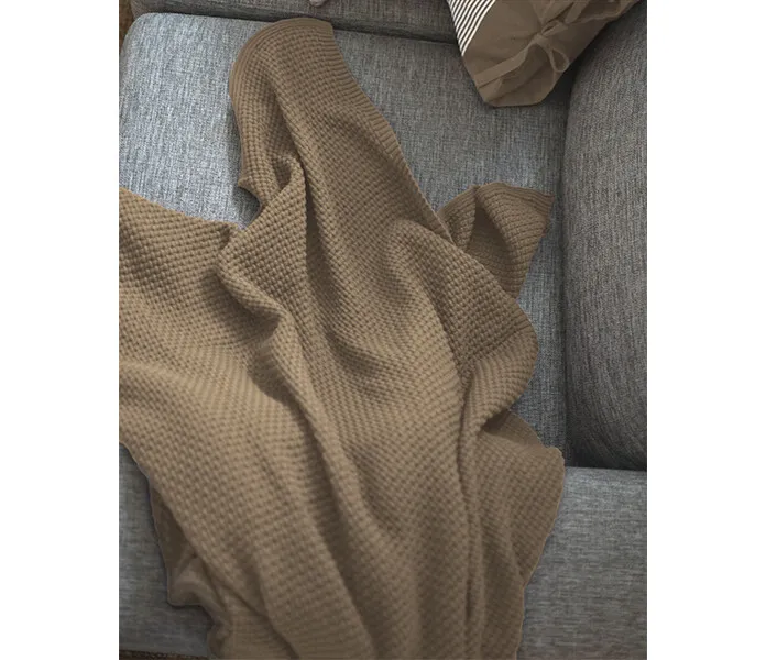 111706 VIGGE 1 image