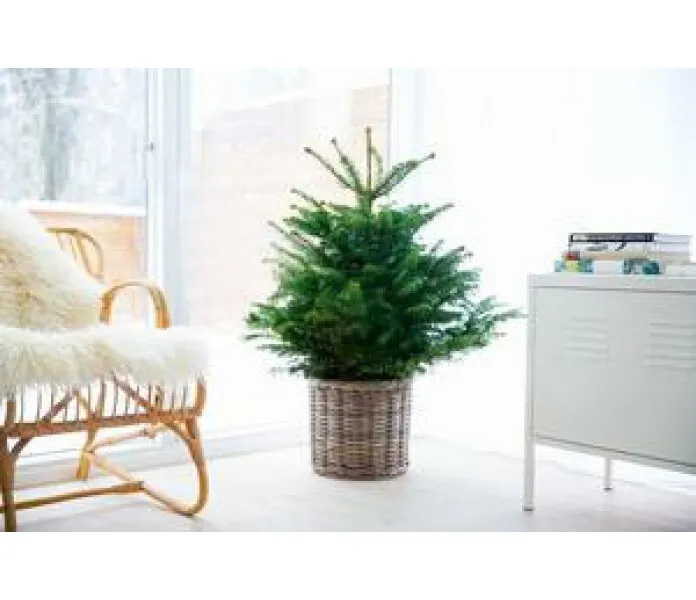 korg s 369503 300x image