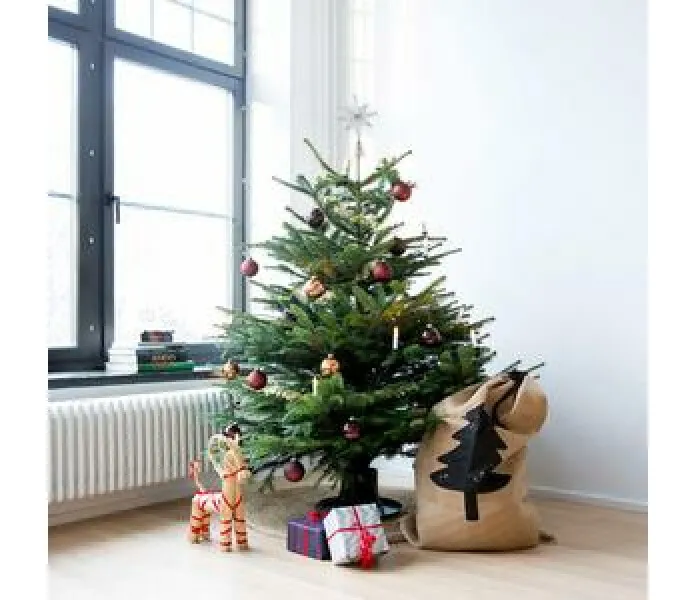 julgransmatta natur 894694 300x kuva