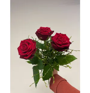 Kolme punaista ruusua kuva