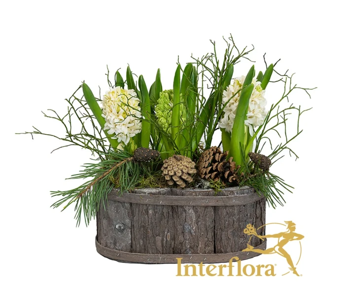 235 Tuoksun tunnelmaa valkoinen kuva