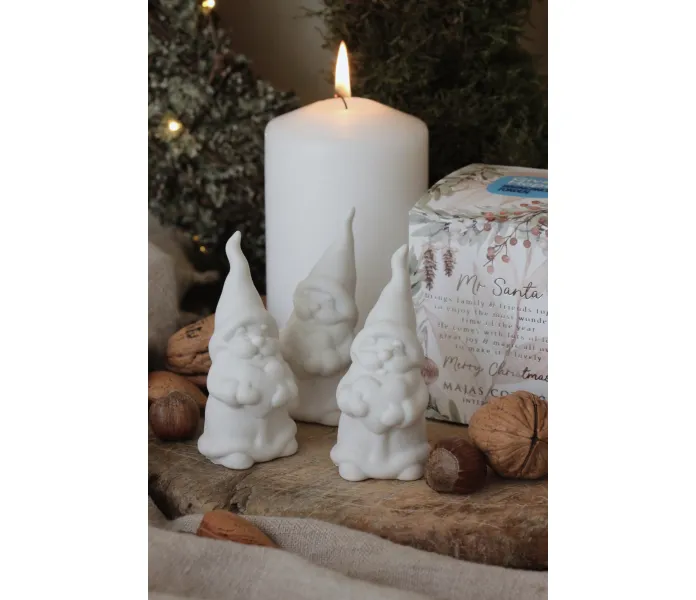 MR SANTA MAJAS COTTAGE KARTONG kuva