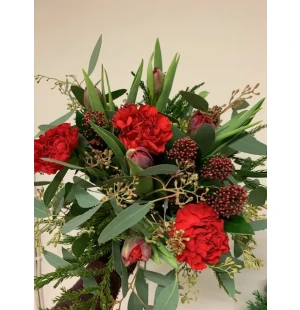 Joulutulppaanit kuva