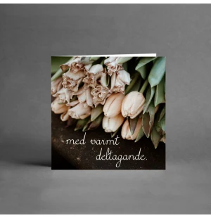 MINI Collection - Med varmt deltagande image