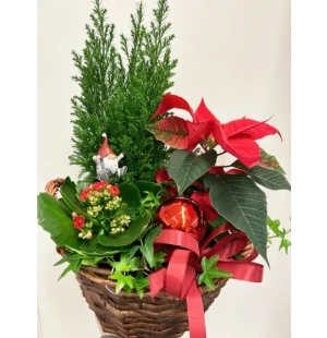 Klassisk Julkorg  kuva