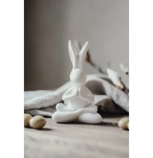 Majas Yoga Bunny image