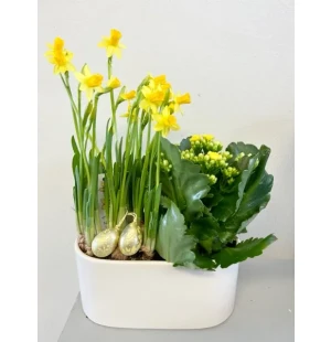 Keväinen istutus kuva