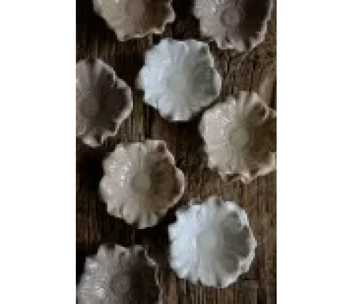 36862 74 blomstrasklarovaninspo1 kuva