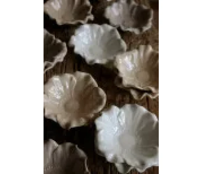 36863 74 blomstrasklarovaninspo2 kuva