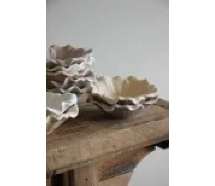 36864 74 blomstrasklar3assextra kuva