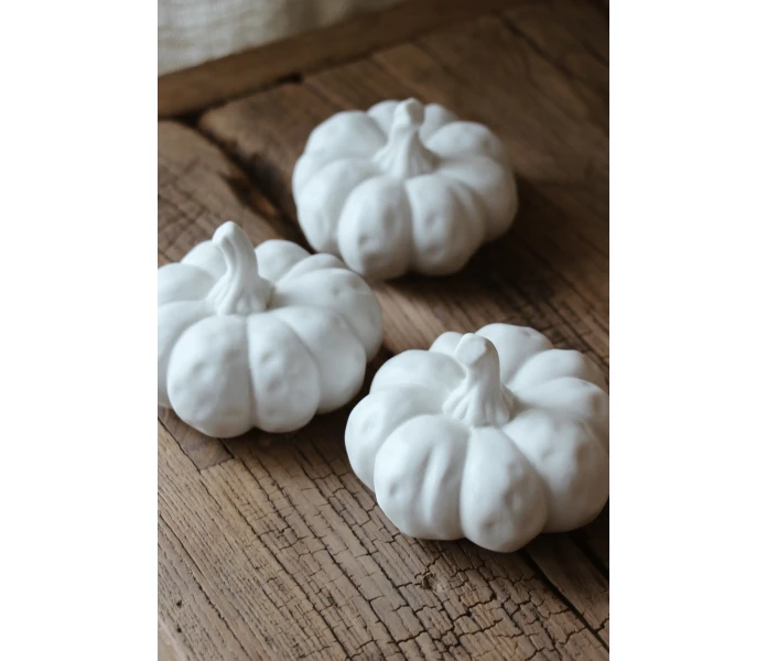 PUMPOR NARBILD image