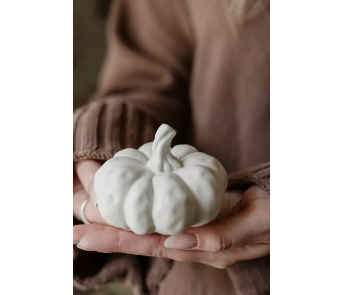 pumpa image