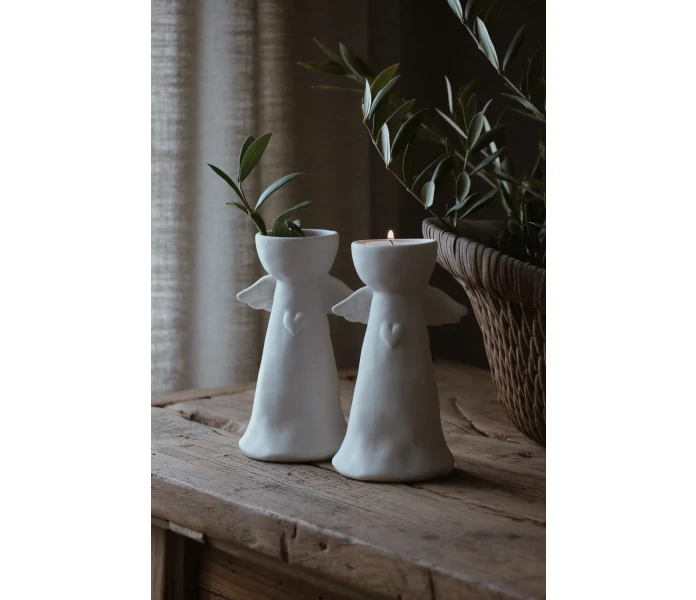 ANGLA HOG INSPO kuva