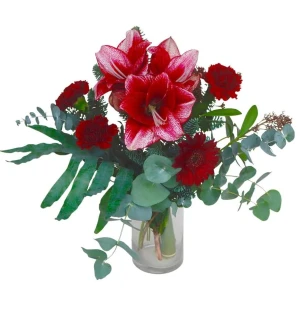 Julens skönhet image