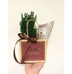 Joululahjapakkaus  kuva