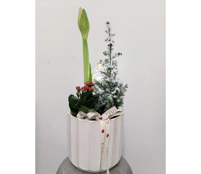 16acf48a 6693 42e2 bdfb a7d1bc5d7c91 2 image