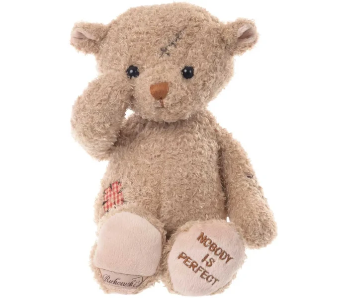 nobodys perfect 2 bukowski image