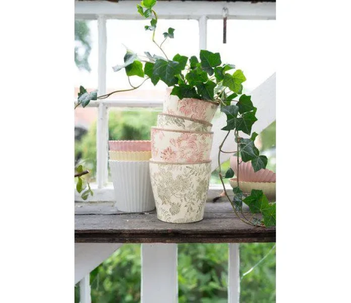 Pro Capture One 6559 kuva