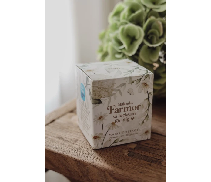 GAVOLYKTA FARMOR MAJAS COTTAGE BOX kuva