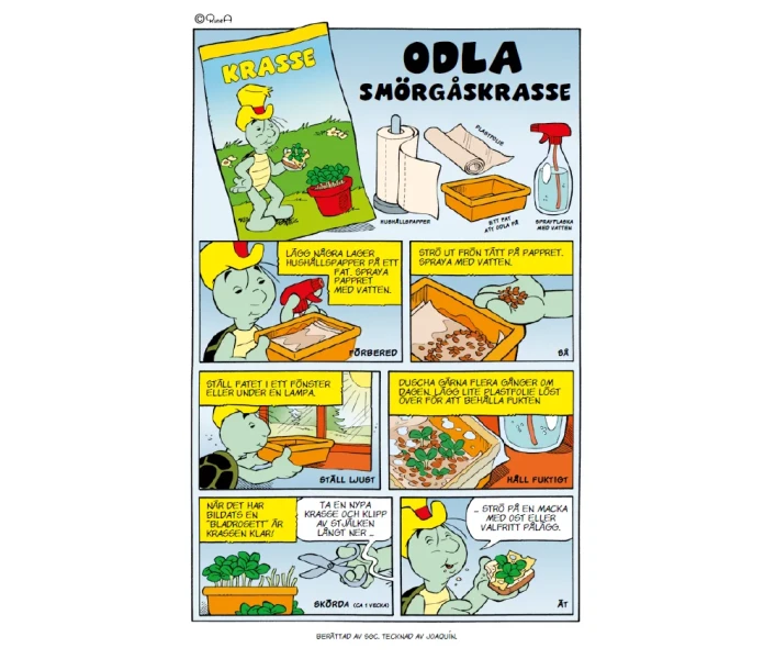 Bamse Odla smorgaskrasse kuva