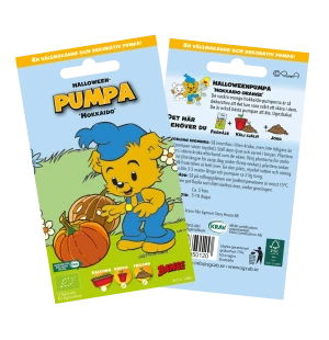 Siemenet kurpitsa kuva