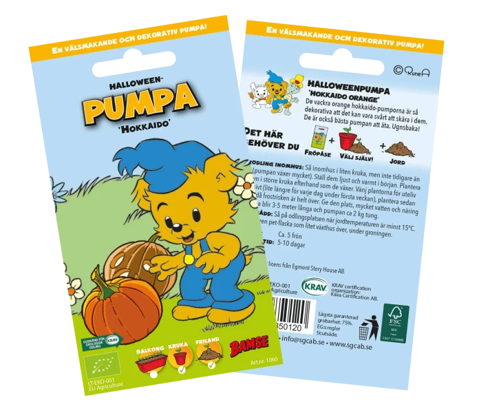 Halloween pumpa Hokkaido kuva