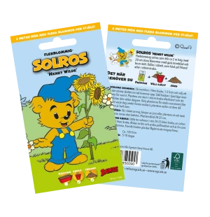 Siemenet auringonkukka kuva