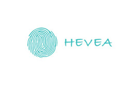 HEVEA HEVEA