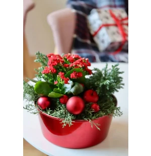 Julplantering med Julglöd image