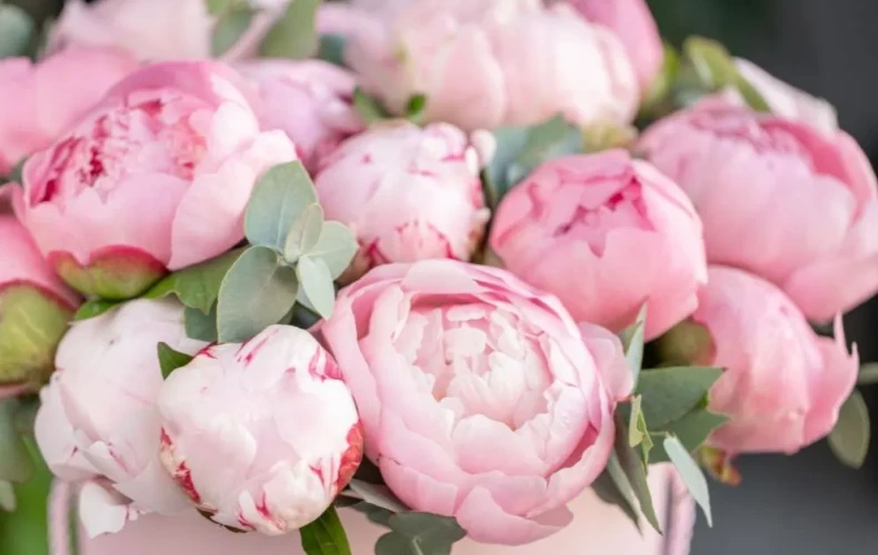 Skicka blommor